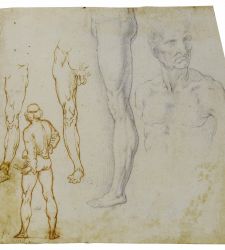 A Vinci una mostra sugli studi anatomici di Leonardo