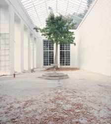 A Reggio Emilia una mostra riflette sulla natura partendo dalle fotografie di Luigi Ghirri 