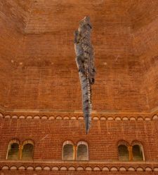 Cremona, torna nel Battistero il coccodrillo di Maurizio Cattelan