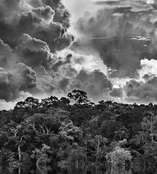 Alla Fabbrica del Vapore di Milano la grande mostra sull'Amazzonia di Sebastião Salgado