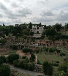Al Parco del Colosseo uno sperimentale sistema di monitoraggio per la tutela degli alberi centenari 