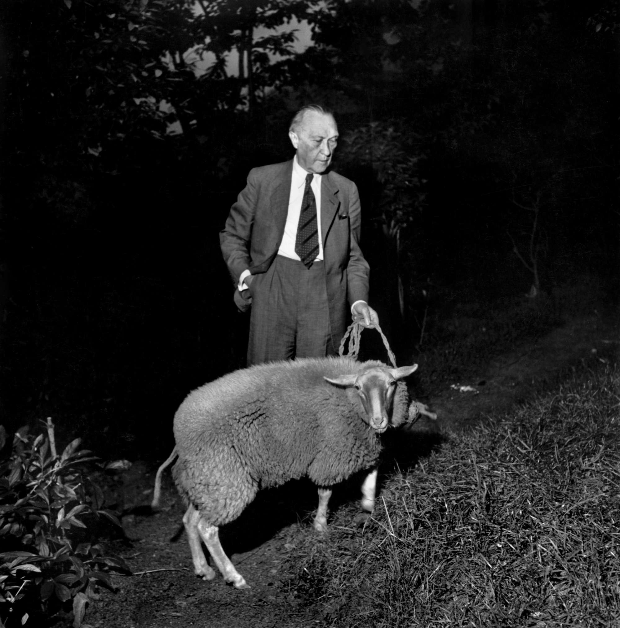 David Seymour, Il cancelliere Konrad Adenauer a casa con la sua pecora, Germania, 1949