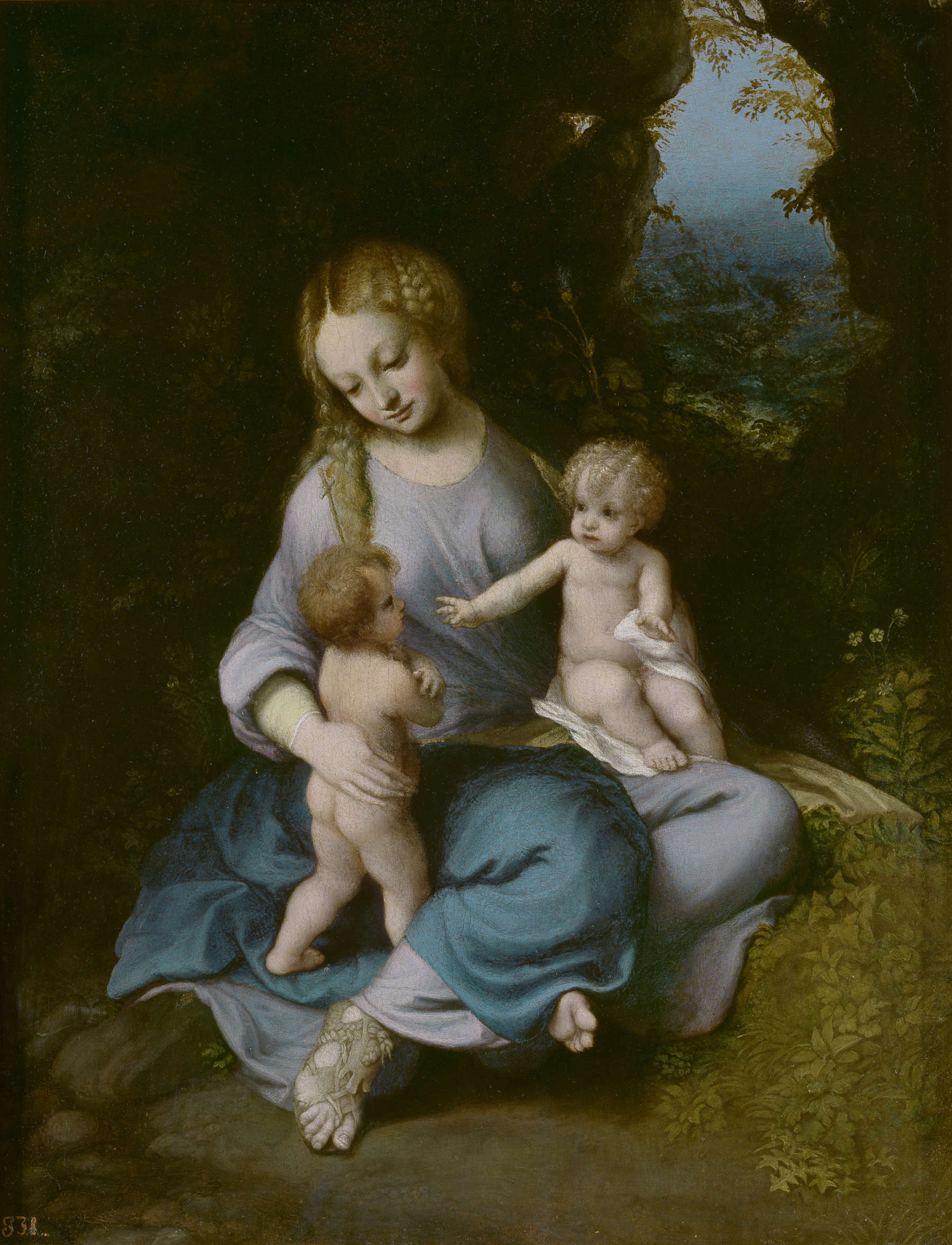 An awakening on Correggio: the Madonna of Casalmaggiore