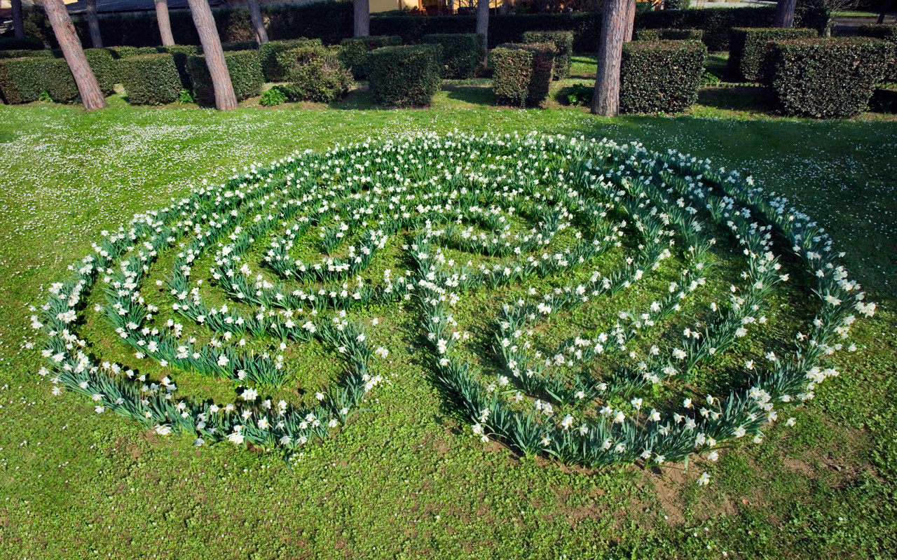 Daniela De Lorenzo, Breath (2009)