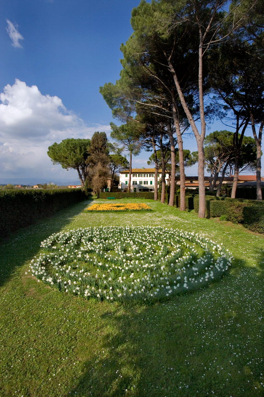 Daniela De Lorenzo, Breath (2009)