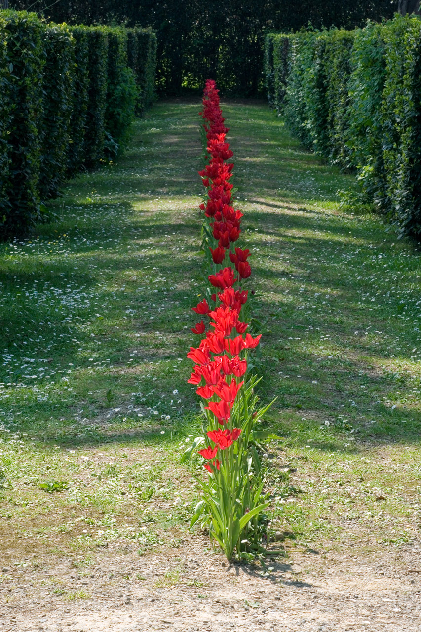 Marco Bagnoli, Red Furrow (2011)