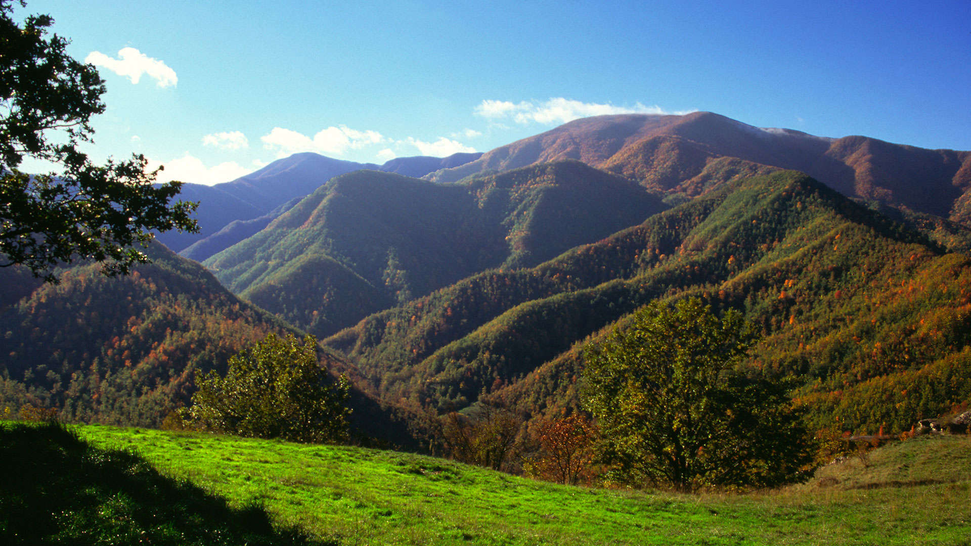 Alpe della Luna. Photo: Pro Loco of Badia Tedalda