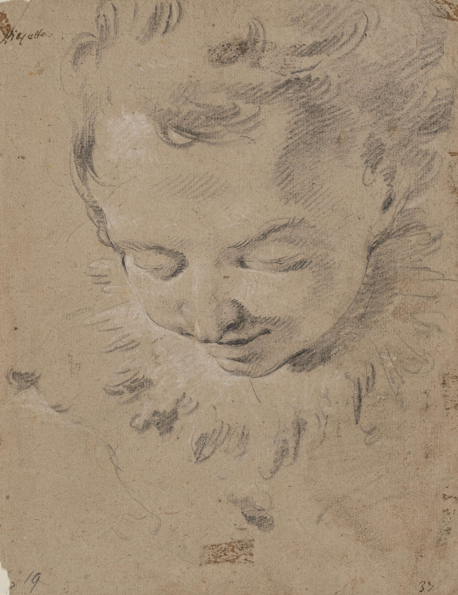 Giambattista Tiepolo, Head of a cherub (charcoal and white chalk, 285 x 223 mm)