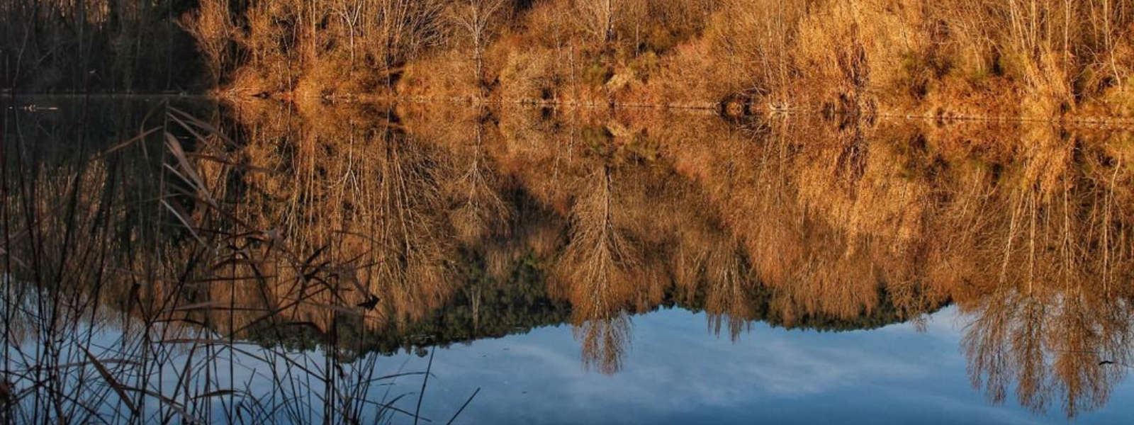 Plaine d'inondation du Tibre. Photo : ANPIL Golena del Tevere