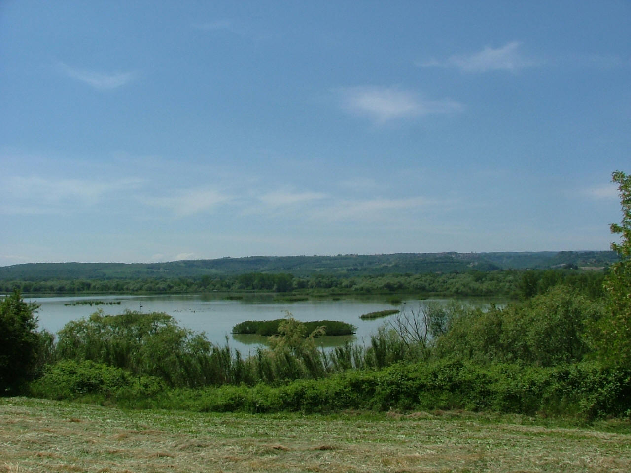 Tiber floodplain. Photo: ANPIL Tiber floodplain.