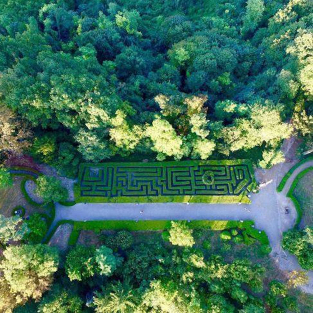 The Labyrinth of Gabiano Castle
