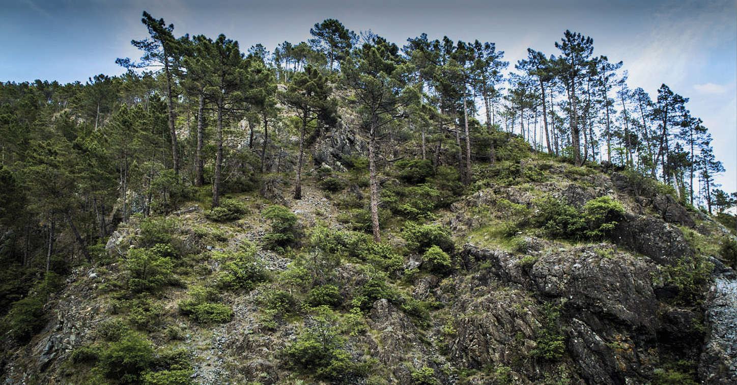 Les Monti Rognosi. Photo : Discover Arezzo