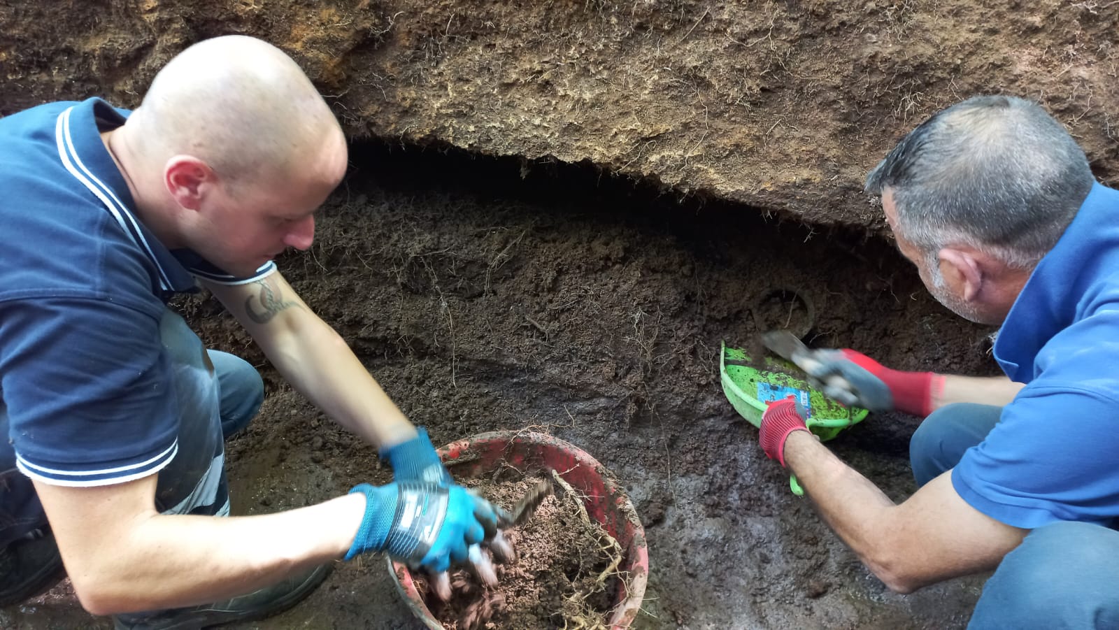 Descubrimiento de una tumba etrusca en Sovana