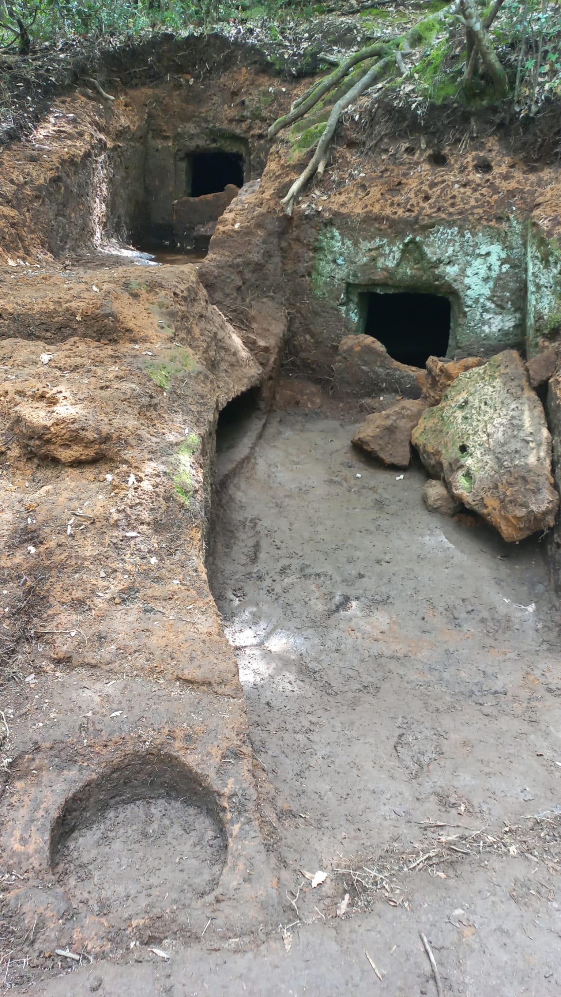 Descubrimiento de una tumba etrusca en Sovana