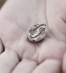 Israel, 12-year-old finds 3500-year-old ancient Egyptian amulet in the shape of a scarab 