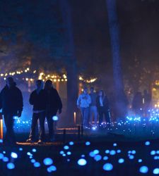 All'Idroscalo di Milano, per la prima volta in Europa, un percorso notturno sensoriale per connettersi con la natura