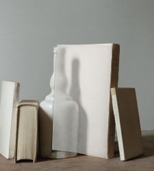 Al Museo Morandi la prima personale italiana di Mary Ellen Bartley che reinterpreta le opere di Giorgio Morandi 