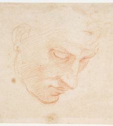 Florence, Casa Buonarroti puts online catalog of Michelangelo's drawings