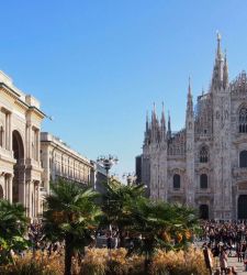 Milan, away with palm trees in Piazza del Duomo: they will be replaced with alpine plants