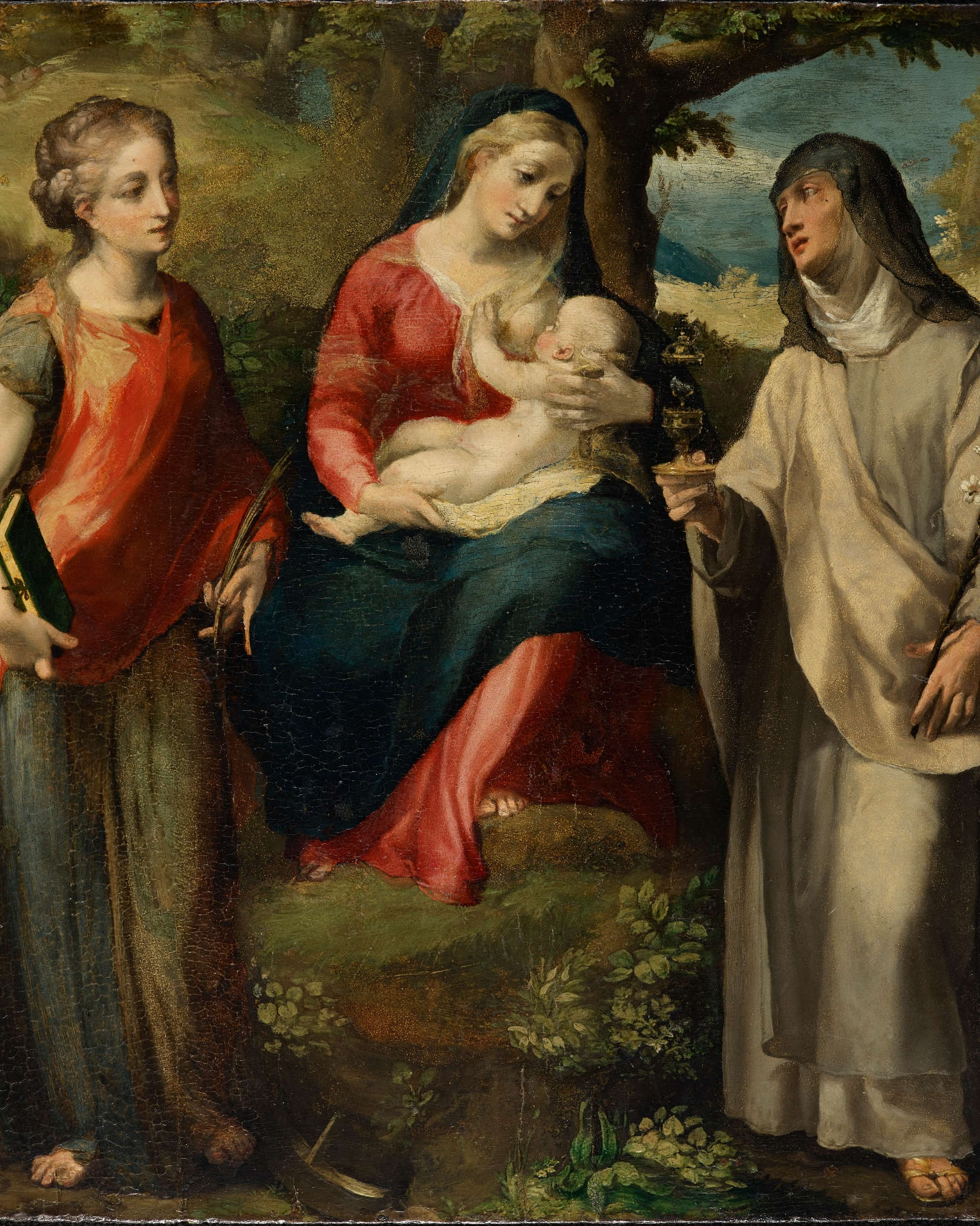 Michelangelo Anselmi, Madonna and Child, St. Catherine and St. Clare (ca. 1530; oil on panel, 39.8 x 35.7 cm)