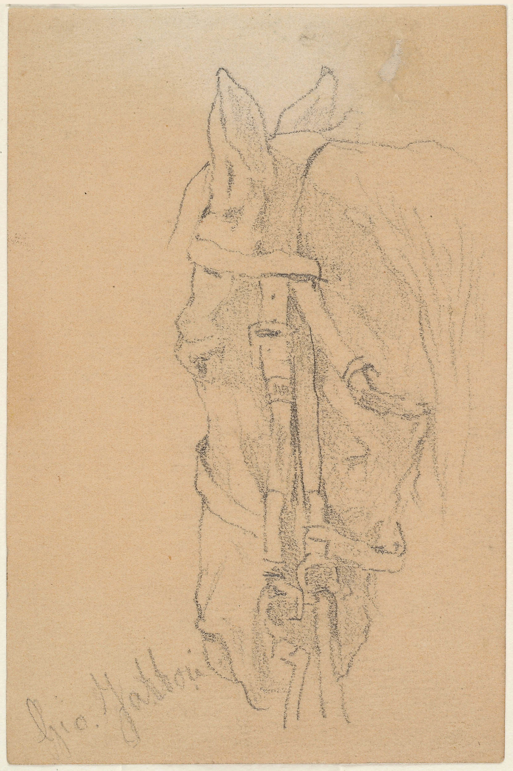 Giovanni Fattori, Head of a Horse (ca. 1870-1875; graphite drawing, 104 &times; 67 mm; Rome, Central Institute for Graphics, inv. D-FN3981)
