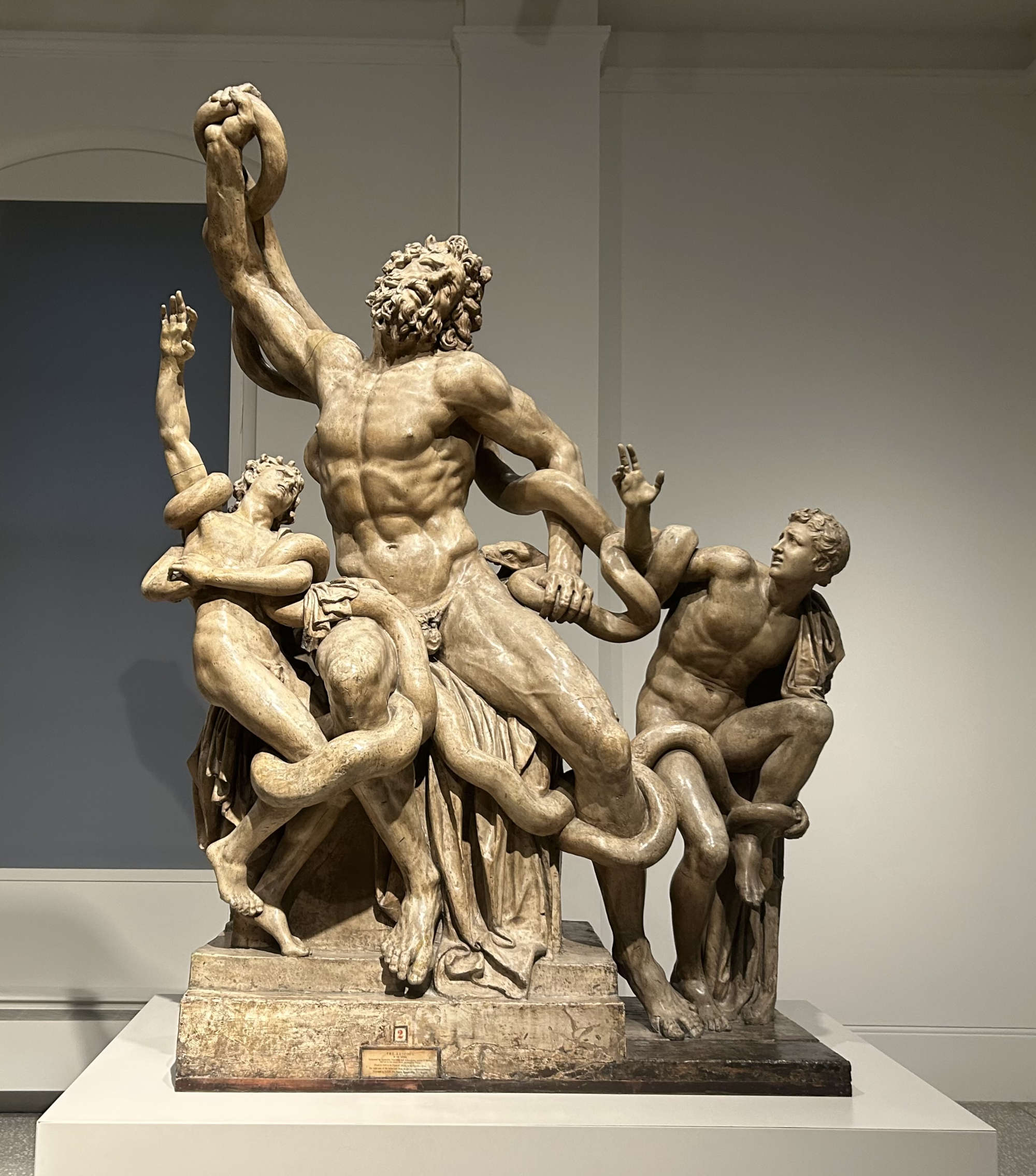 Distribution du Laocoon (Londres, Royal Academy of Arts)