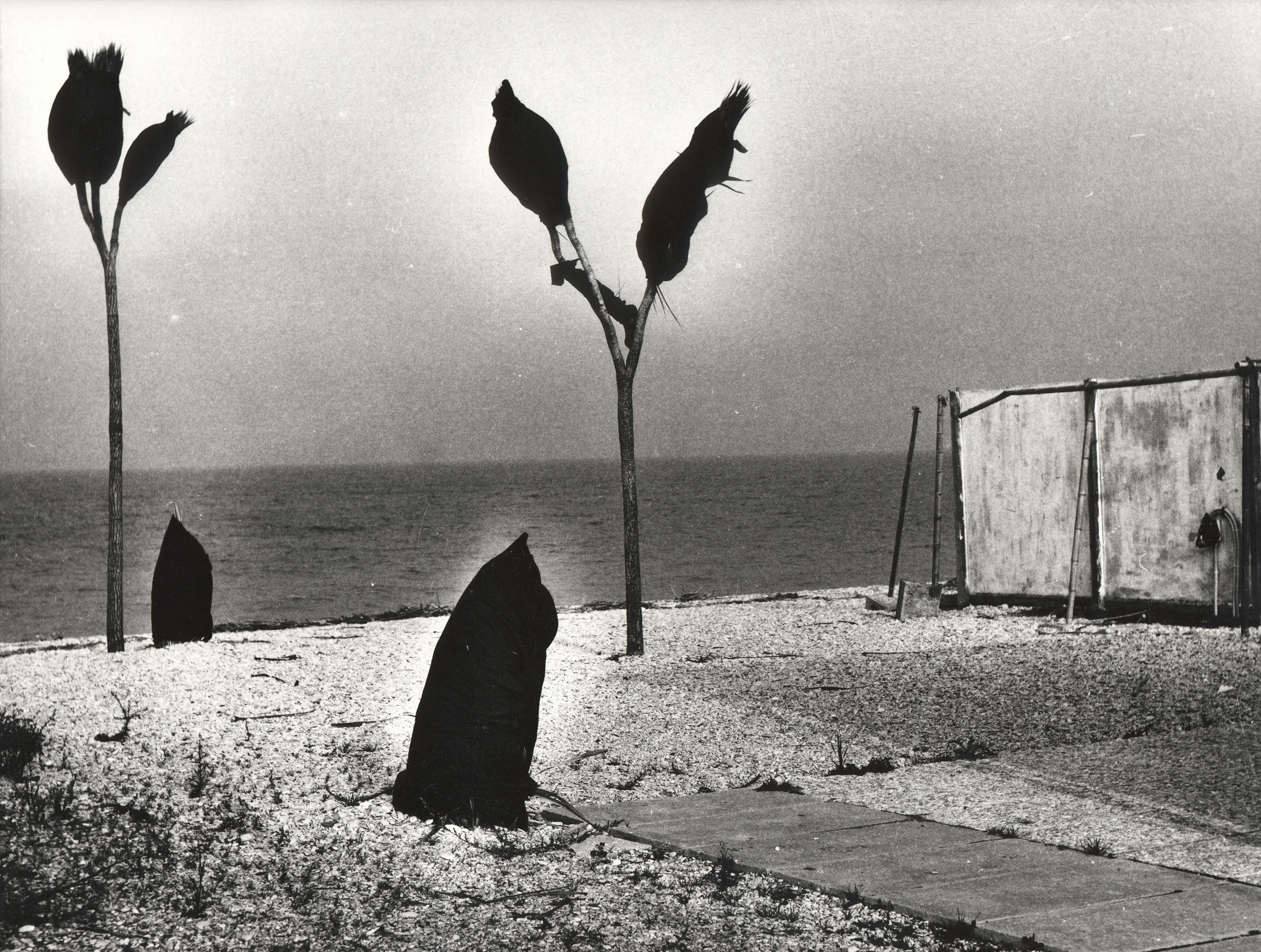 Mario Giacomelli è il fotografo italiano che più di altri si è spinto su territori inesplorati