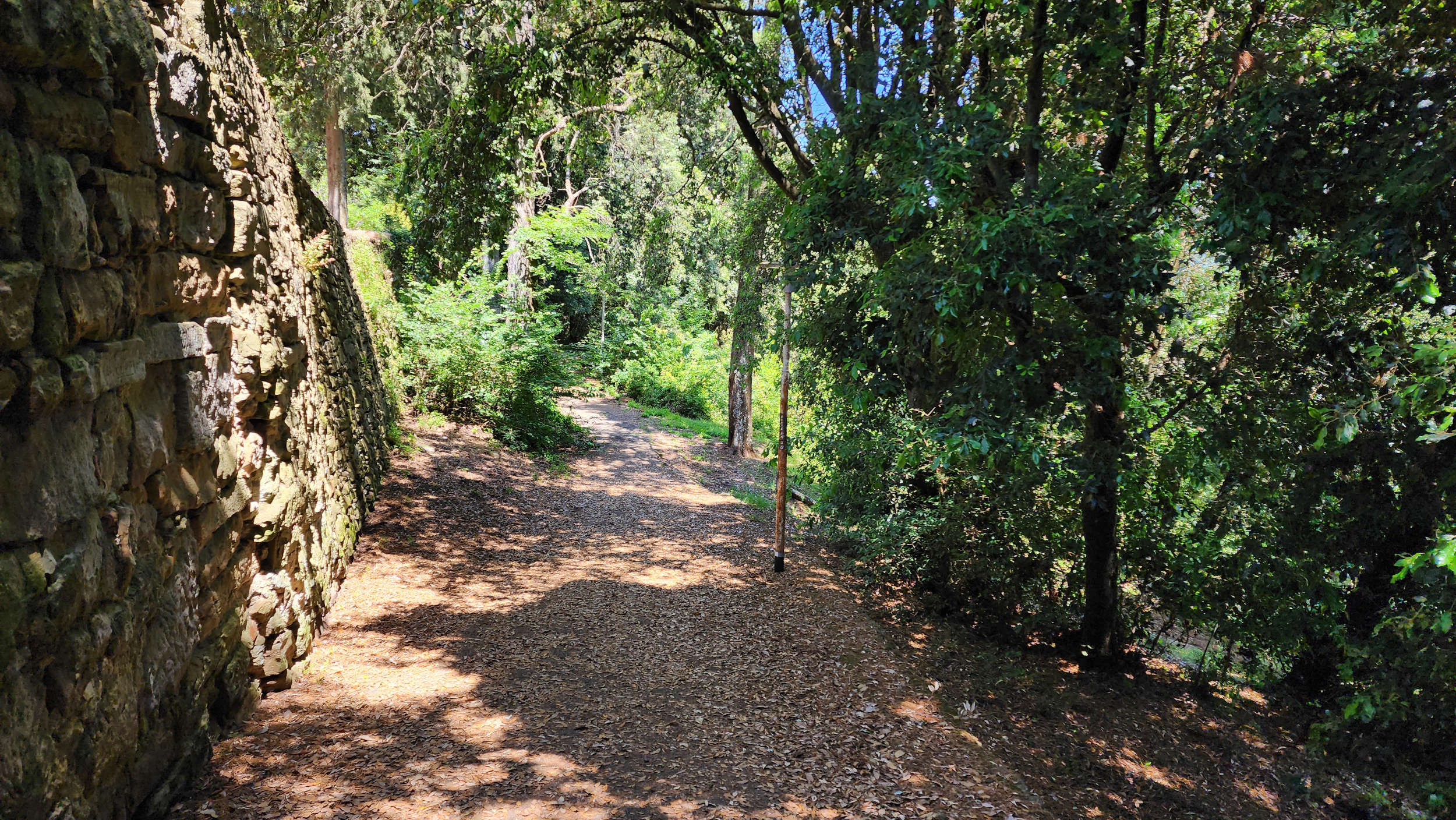 La forêt des frères, avec les murs étrusques à gauche