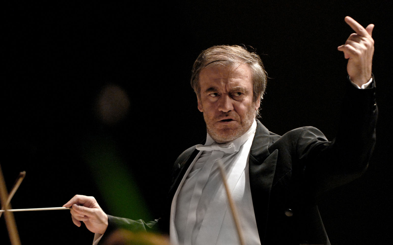Perché Valerij Gergiev non dovrebbe esibirsi alla Reggia di Caserta