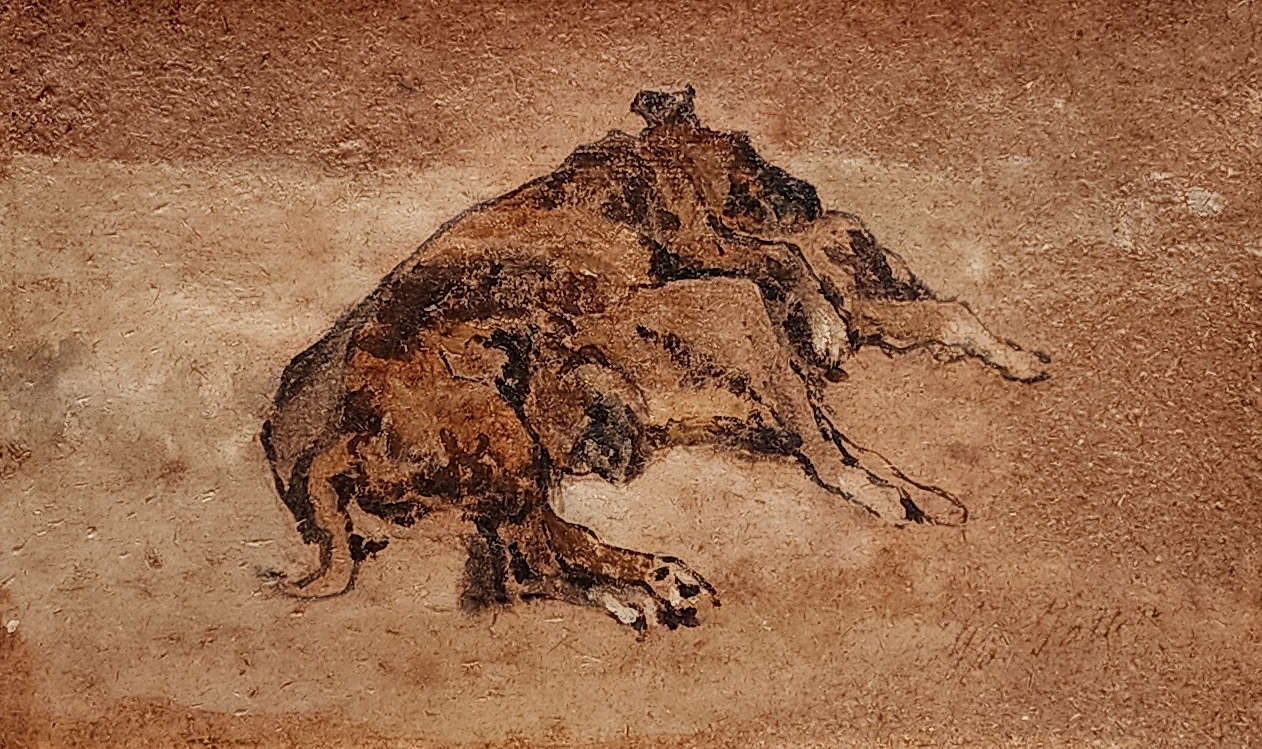 乔瓦尼-法托里，《躺着的狗（两只小狗）》（约 1905 年；纸板油画，14 x 23 厘米；里窝那，乔瓦尼-法托里市政博物馆，编号 1991/1039, M1376）