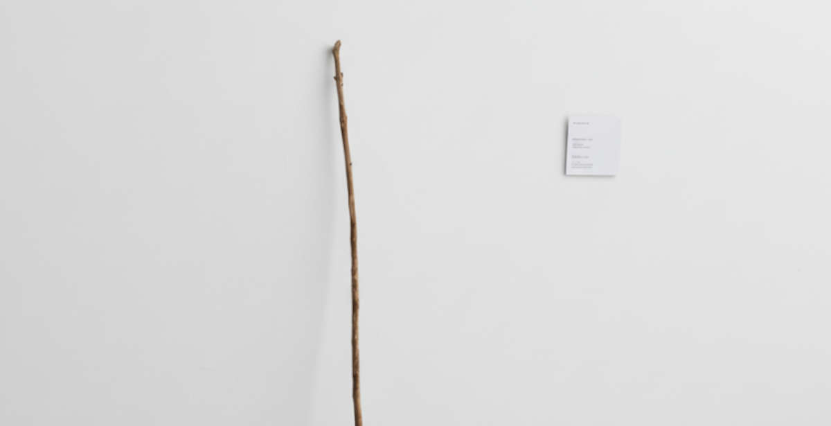 L'arte del bastone appoggiato al muro (e occhio a non inciampare)