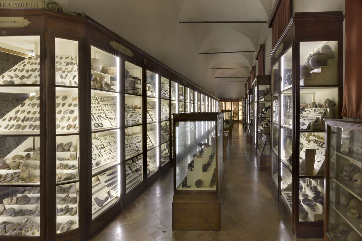 Le musée de palethnologie Gaetano Chierici. Photo : C. Vannini / Musées municipaux de Reggio Emilia
