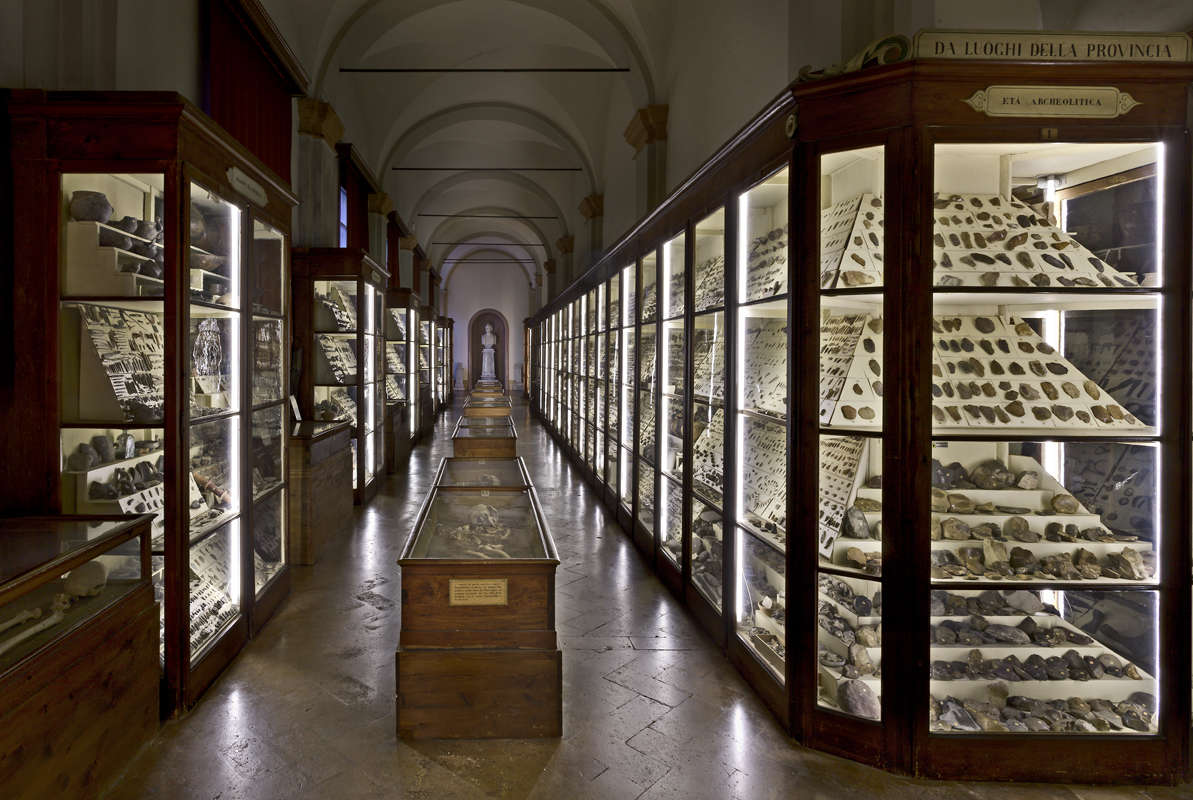Le musée de palethnologie Gaetano Chierici. Photo : C. Vannini / Musées municipaux de Reggio Emilia