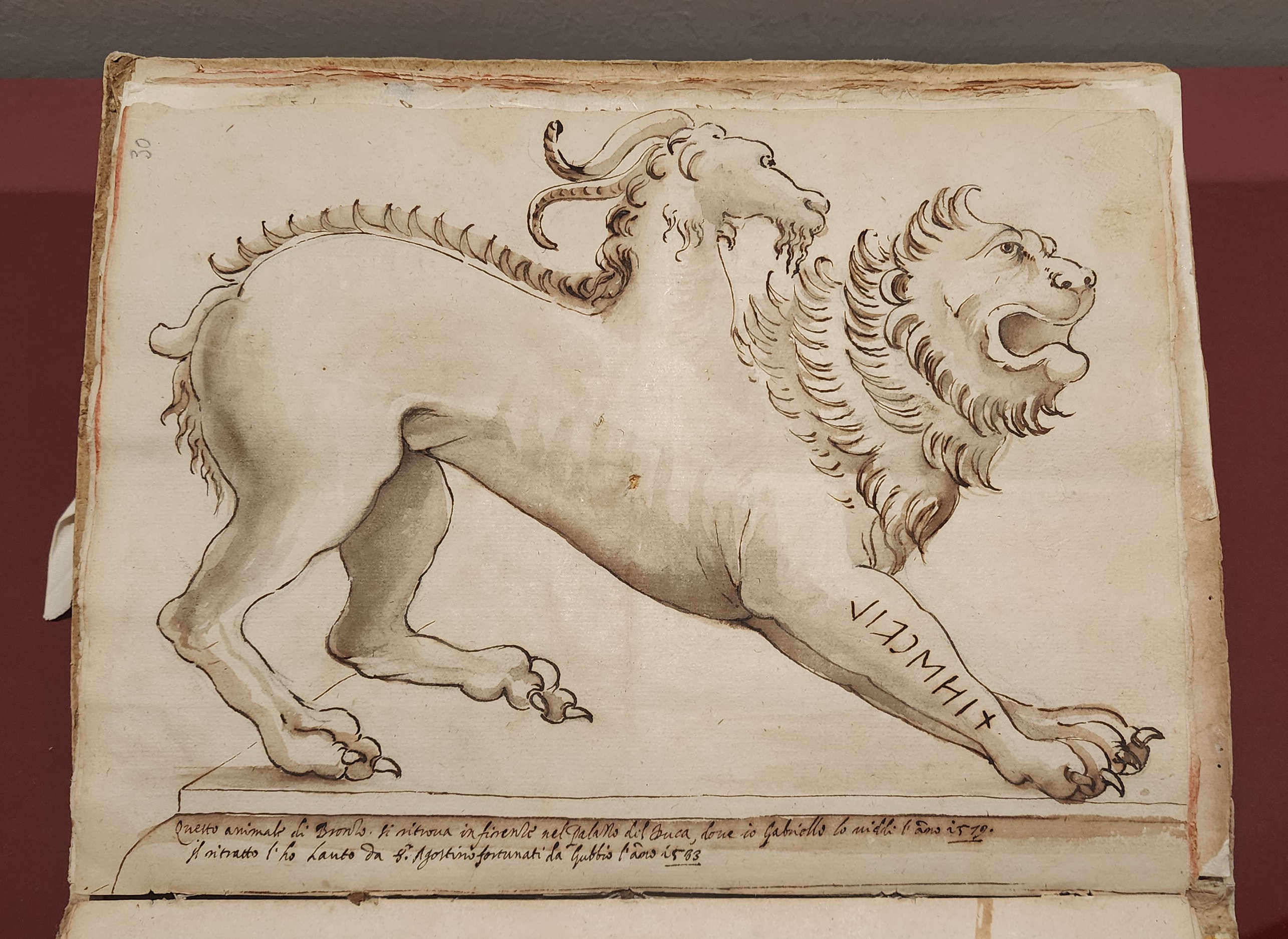 Artista desconocido, Quimera de Arezzo (¿1583?; pluma y tinta acuarelada, 300 × 230 mm; Perugia, Archivo Estatal de Perugia, sección de Gubbio, Fondo Armanni, ms. II A 20 Alfabeto para láminas, c. 30r)