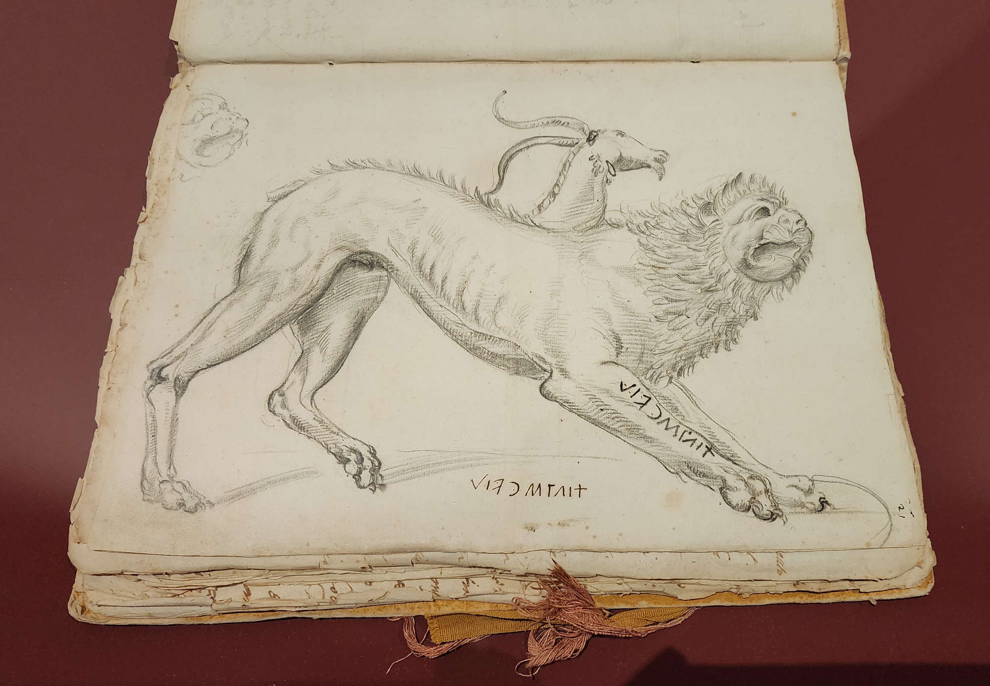 Artista desconocido, Quimera de Arezzo (1586; ¿piedra negra?, 305 × 235 mm; Perugia, Archivo Estatal de Perugia, sección de Gubbio, Fondo Armanni, ms. I C 9 Dell'antichità di Gubbio, e sue tavole di bronzo, c. 21r)