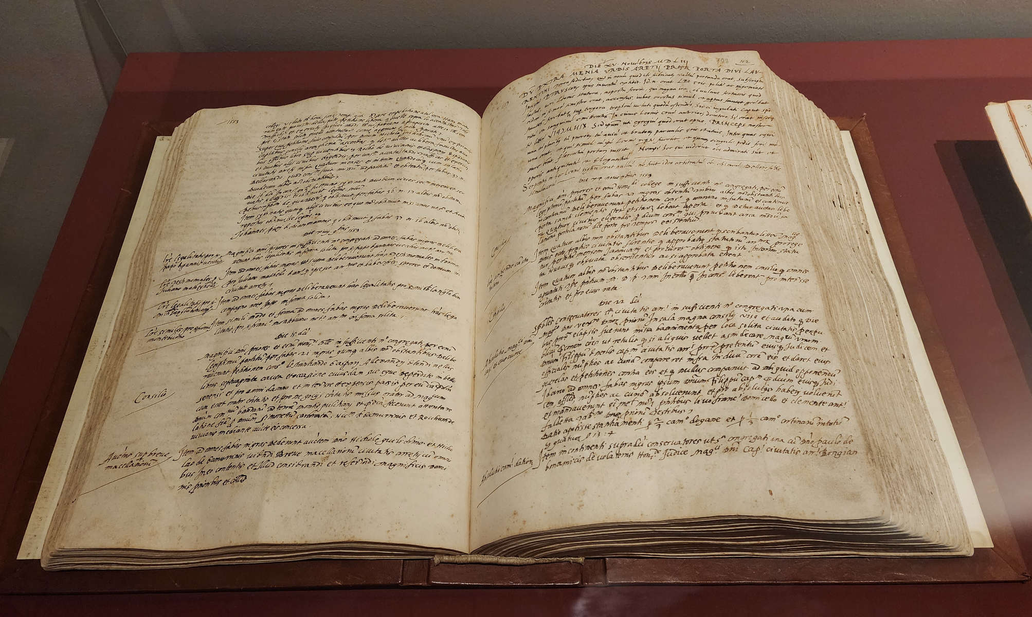 Actas y deliberaciones del partido de los priores y del consejo general del Ayuntamiento de Arezzo con la noticia del descubrimiento de la Quimera (15 de noviembre de 1553; pluma y tinta negra, 30 × 45,5 × 11 cm; Arezzo, Archivo Estatal de Arezzo, Ayuntamiento de Arezzo, Deliberaciones y partidos de los priores y del consejo, 23, c. 102r)
