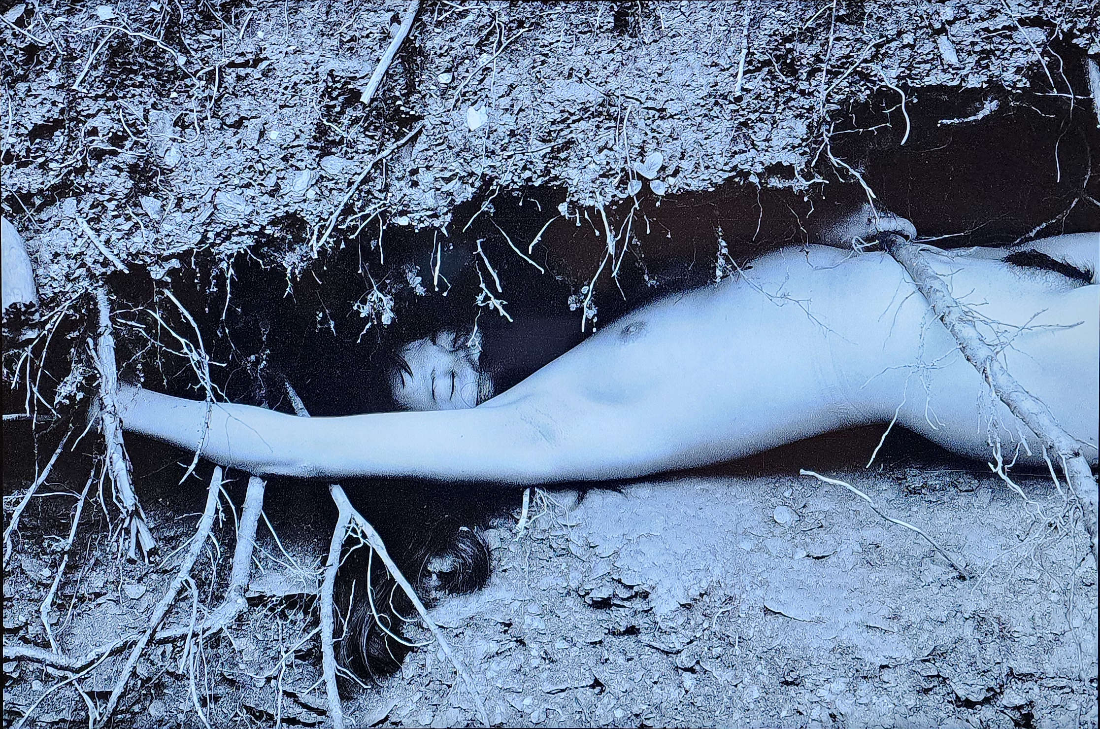 Chiharu Shiota，《试着回家》（1997 年；表演，数码照片编辑成滚动视频，摄影：Frank Begemann）