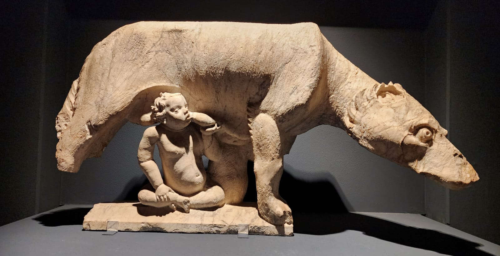 La Lupa di Siena: il racconto della fiera che divenne simbolo della città