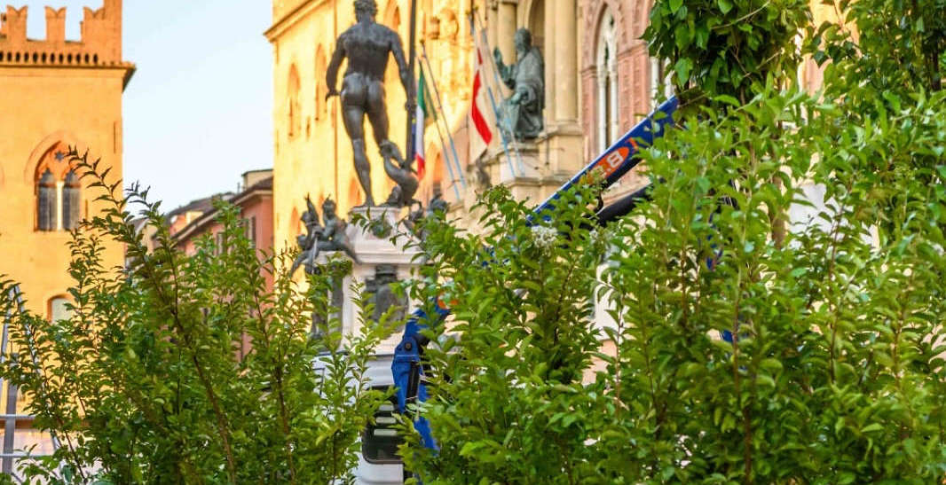 Bologna, nelle piazze alberelli da vivaio contro l'emergenza caldo. Fioccano le critiche