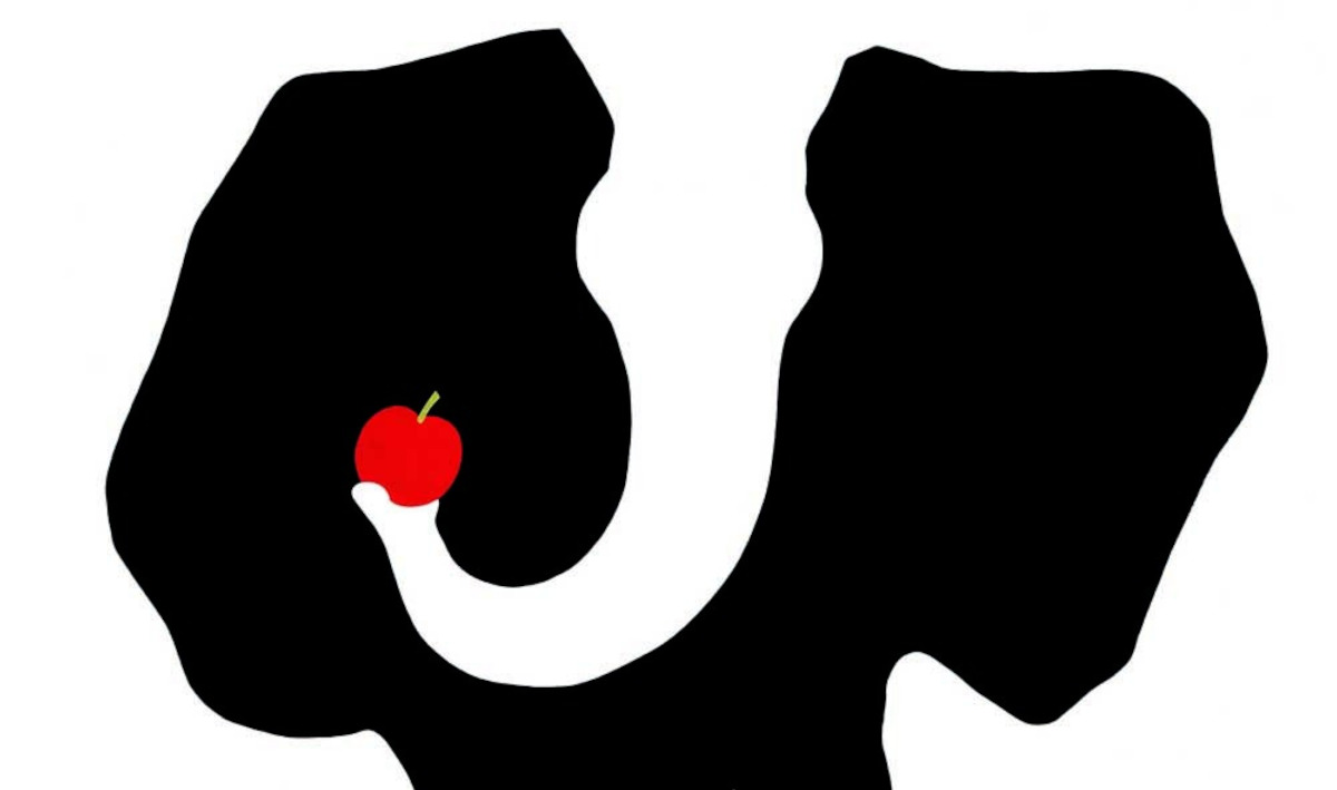 A Siena, al Palazzo delle Papesse, una grande retrospettiva dedicata ad Armando Testa