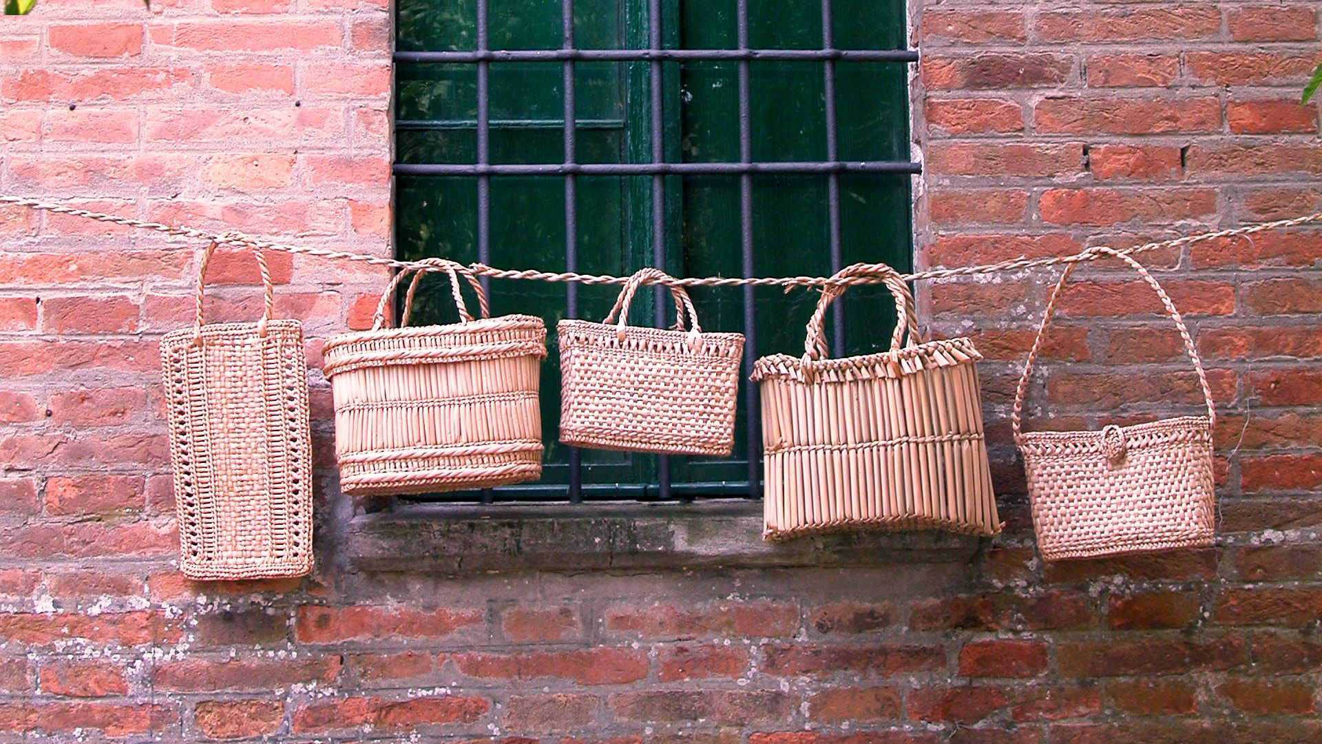 Verflechtung von Sumpfgräsern