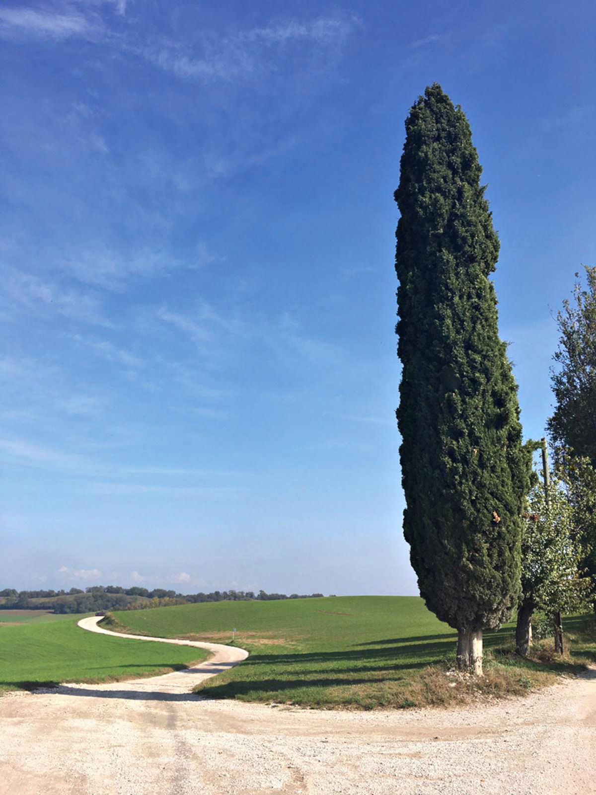 Die Landschaft von Castiglione delle Stiviere - Cavriana