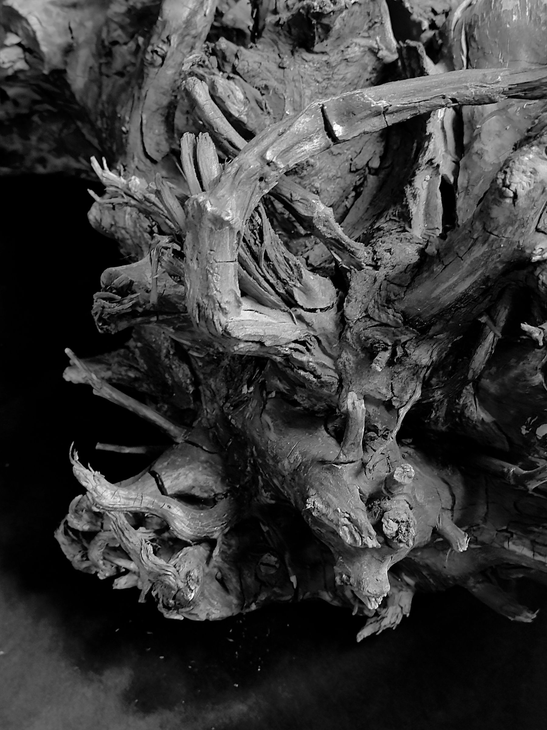 Pompeii Threnody: la mostra di Cerith Wyn Evans all’Antiquarium di Boscoreale