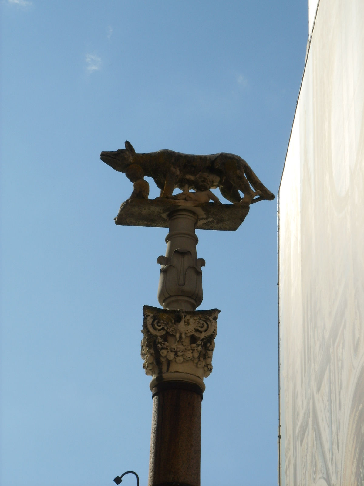 Colonne de la Louve sur la Piazza Duomo, Sienne. Photo : Francesco Bini