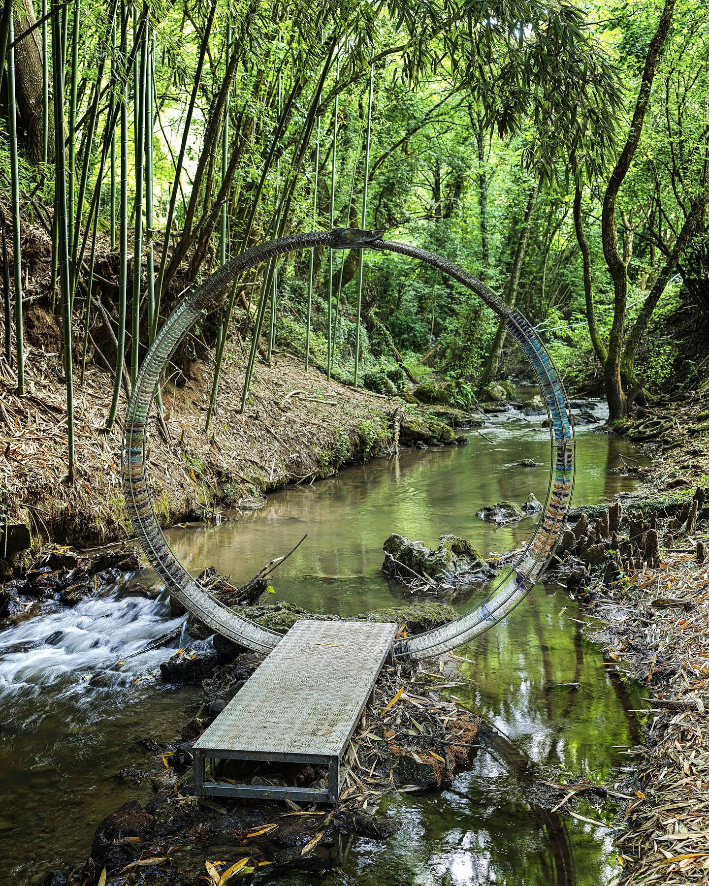 Cristiano Carotti, Regulus (2025). Foto: Sandro Vannini