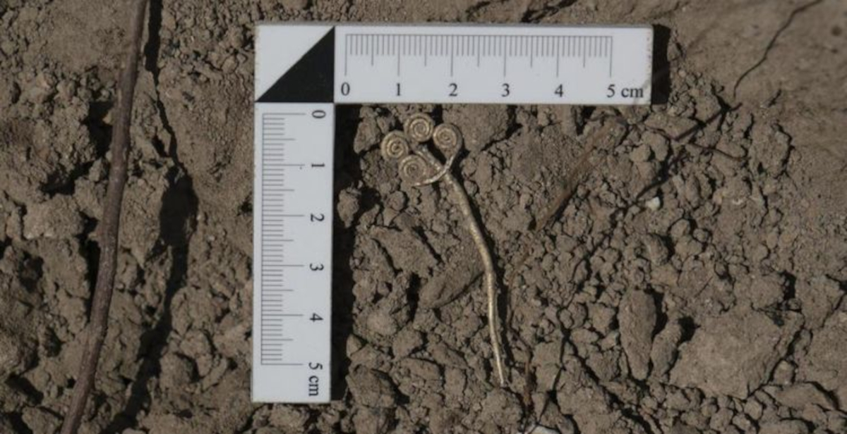 Troia, riemerge un tesoro di 4.500 anni: scoperti un broche d’oro e una rara pietra di giada