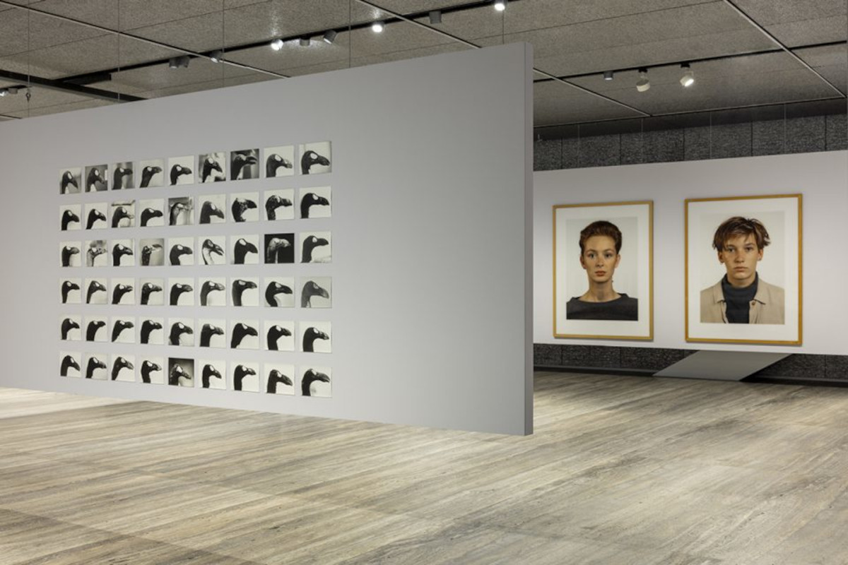Milano, alla Fondazione Prada una grande mostra sulla fotografia tedesca del Novecento