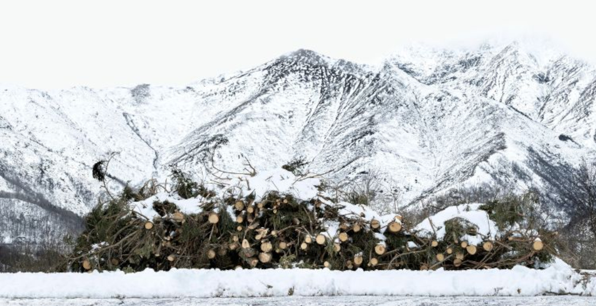 Francesco Jodice racconta il legame tra fabbrica, natura e comunità per Fondazione Zegna