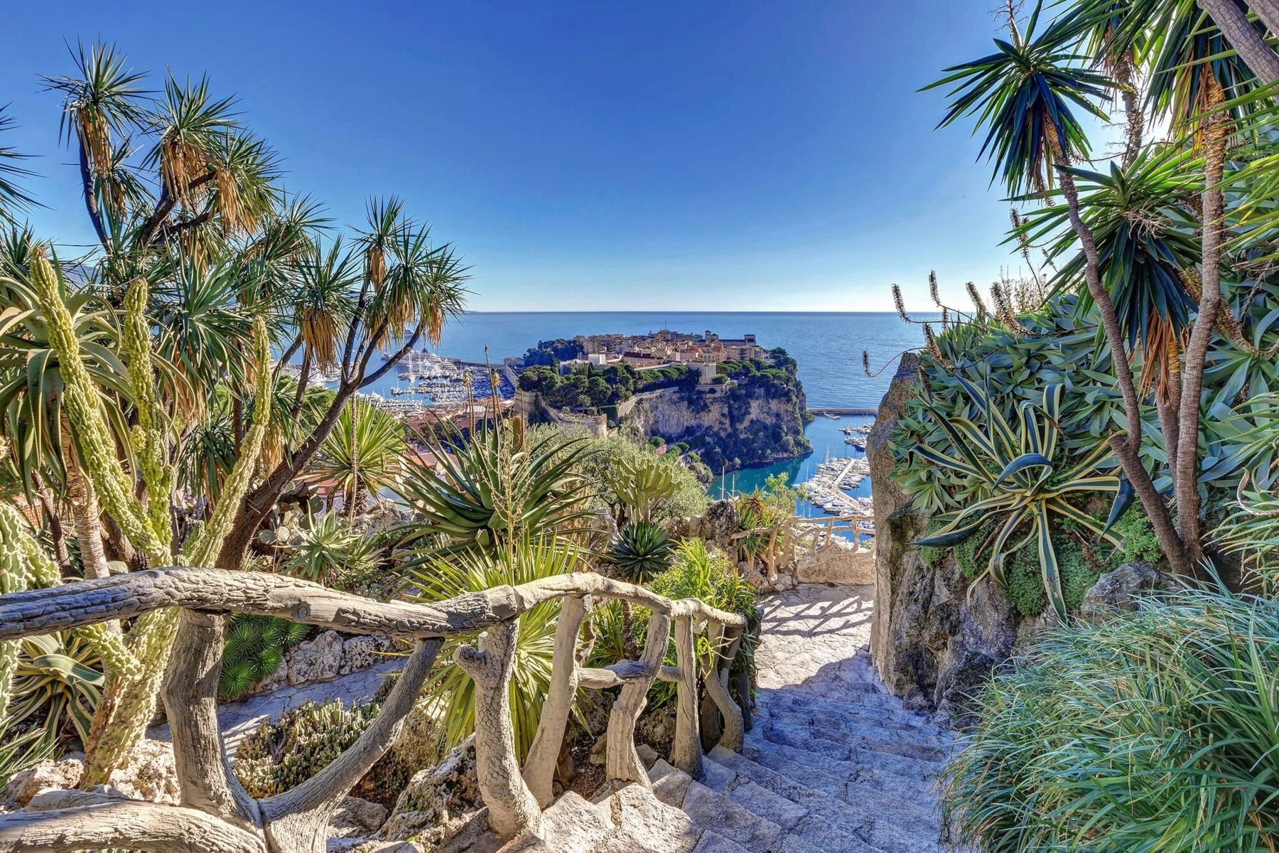 Vue du jardin exotique sur le rocher. Photo : ©BVergely