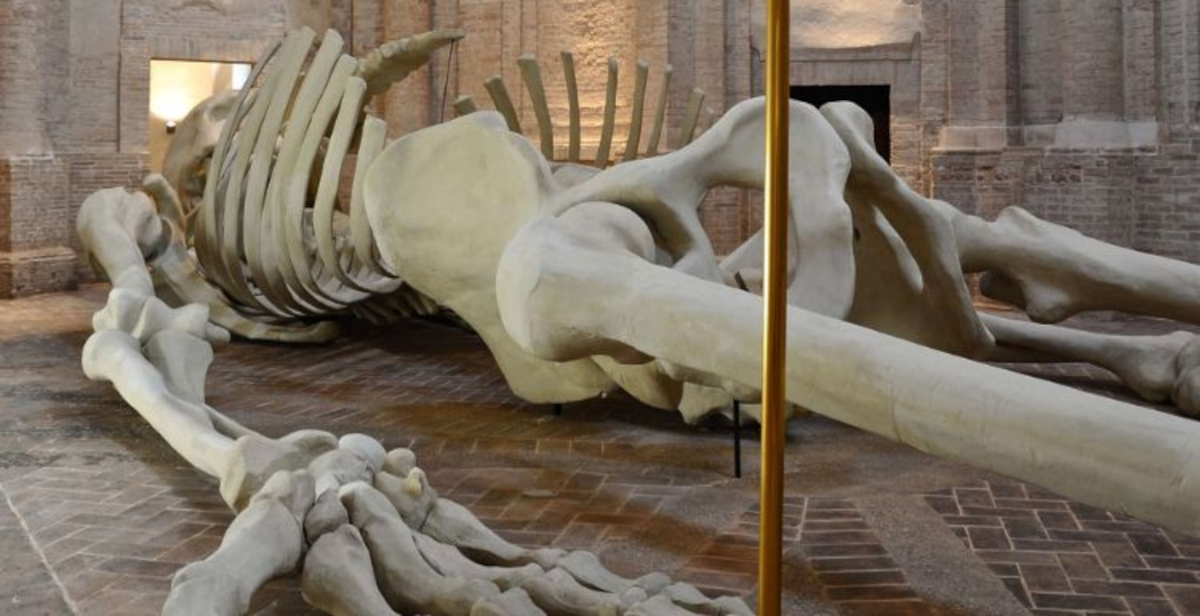 Foligno e Spoleto finaliste per la Capitale Italiana dell’Arte Contemporanea 2027
